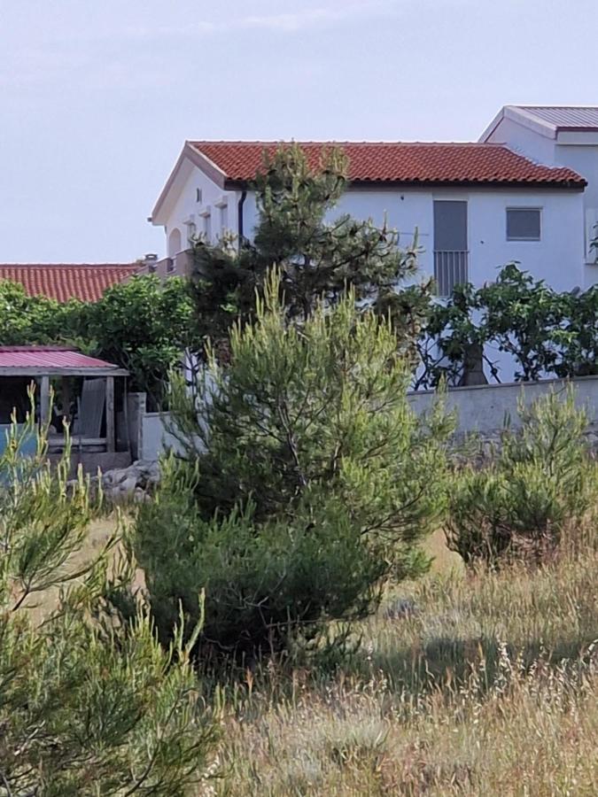 Apartments Ema Vir Exterior photo